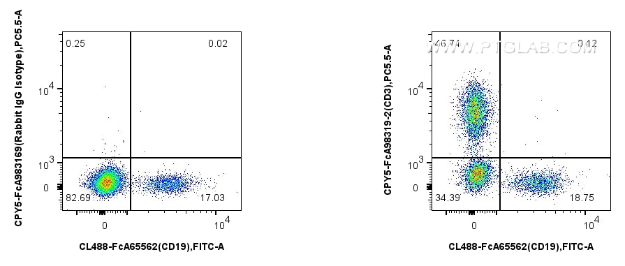Flow cytometry (FC) experiment of human PBMCs using FcZero-rAb™ PerCP-Cyanine5.5 Anti-Human CD3 Rabbit (CPY5-FcA98319-2)