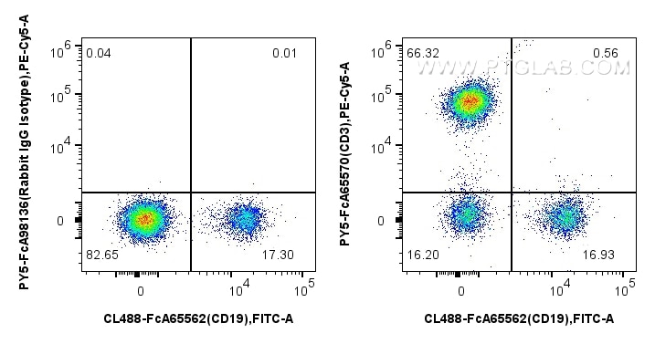 1x10^6 human PBMCs were surface stained with FcZero-rAb™ CoraLite® Plus 488 Anti-Human CD19 (4G7), and 5 ul PE-Cyanine5 Anti-Human CD3 (UCHT1) Rabbit RecAb (PY5-FcA65570, Clone:UCHT1) or FcZero-rAb™ PE-Cyanine5 Rabbit IgG Isotype Control Recombinant Antibody (PY5-FcA98136, Clone: 240953C9). Cells were not fixed. Lymphocytes were gated. Flow cytometry (FC) experiment of human PBMCs using FcZero-rAb® PE-Cyanine5 Anti-Human CD3 (UCHT1) Rab (PY5-FcA65570)