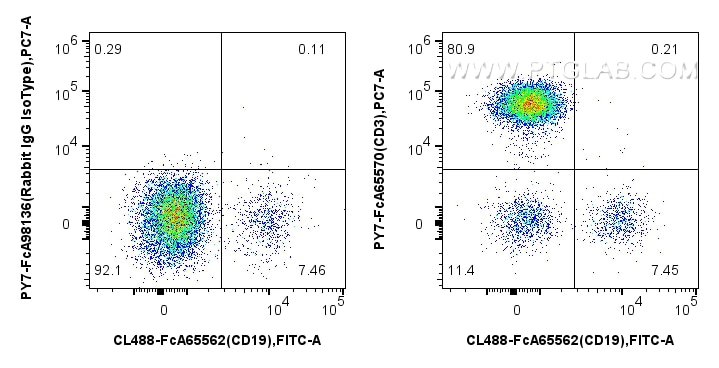 Flow cytometry (FC) experiment of human PBMCs using FcZero-rAb™ PE-Cyanine7 Anti-Human CD3 (UCHT1) Rab (PY7-FcA65570)