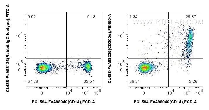 FC experiment of human PBMCs using CL488-FcA98235 Flow cytometry (FC) experiment of human PBMCs using FcZero-rAb® CoraLite® Plus 488 Anti-Human CD300e R (CL488-FcA98235)