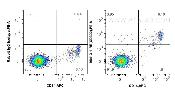 Flow cytometry (FC) experiment of human PBMCs using Anti-Human CD302 Rabbit Recombinant Antibody (98413-1-RR)
