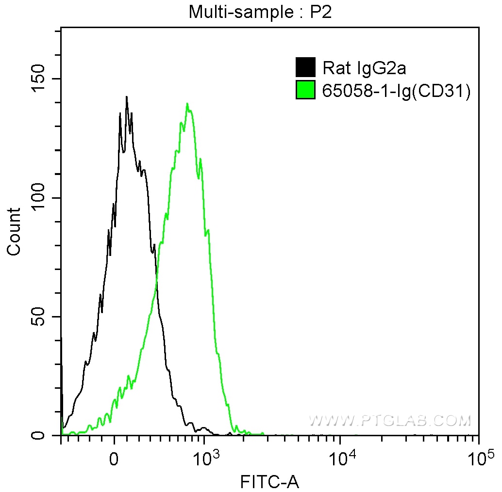 Flow cytometry (FC) experiment of mouse splenocytes using Anti-Mouse CD31 (390) (65058-1-Ig)