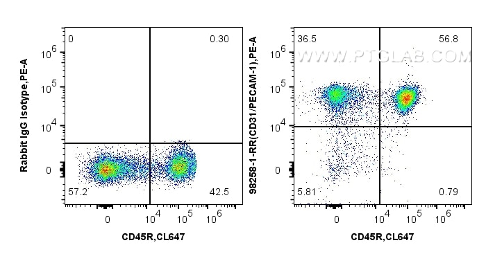 Flow cytometry (FC) experiment of mouse splenocytes using Anti-Mouse CD31 Rabbit Recombinant Antibody (98258-1-RR)