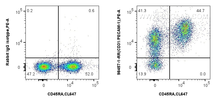 Flow cytometry (FC) experiment of rat splenocytes cells using Anti-Rat CD31 Rabbit Recombinant Antibody (98457-1-RR)