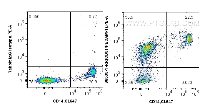 Flow cytometry (FC) experiment of human PBMCs using Anti-Human CD31 Rabbit Recombinant Antibody (98533-1-RR)