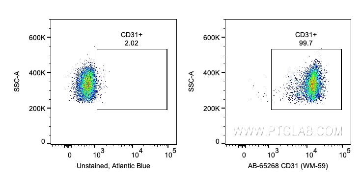 Flow cytometry (FC) experiment of human PBMCs using Atlantic Blue™ Anti-Human CD31 (WM-59) (AB-65268)