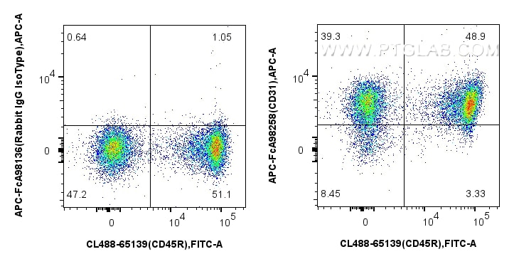 Flow cytometry (FC) experiment of mouse splenocytes using FcZero-rAb™ APC Anti-Mouse CD31 Rabbit Recombinant (APC-FcA98258)