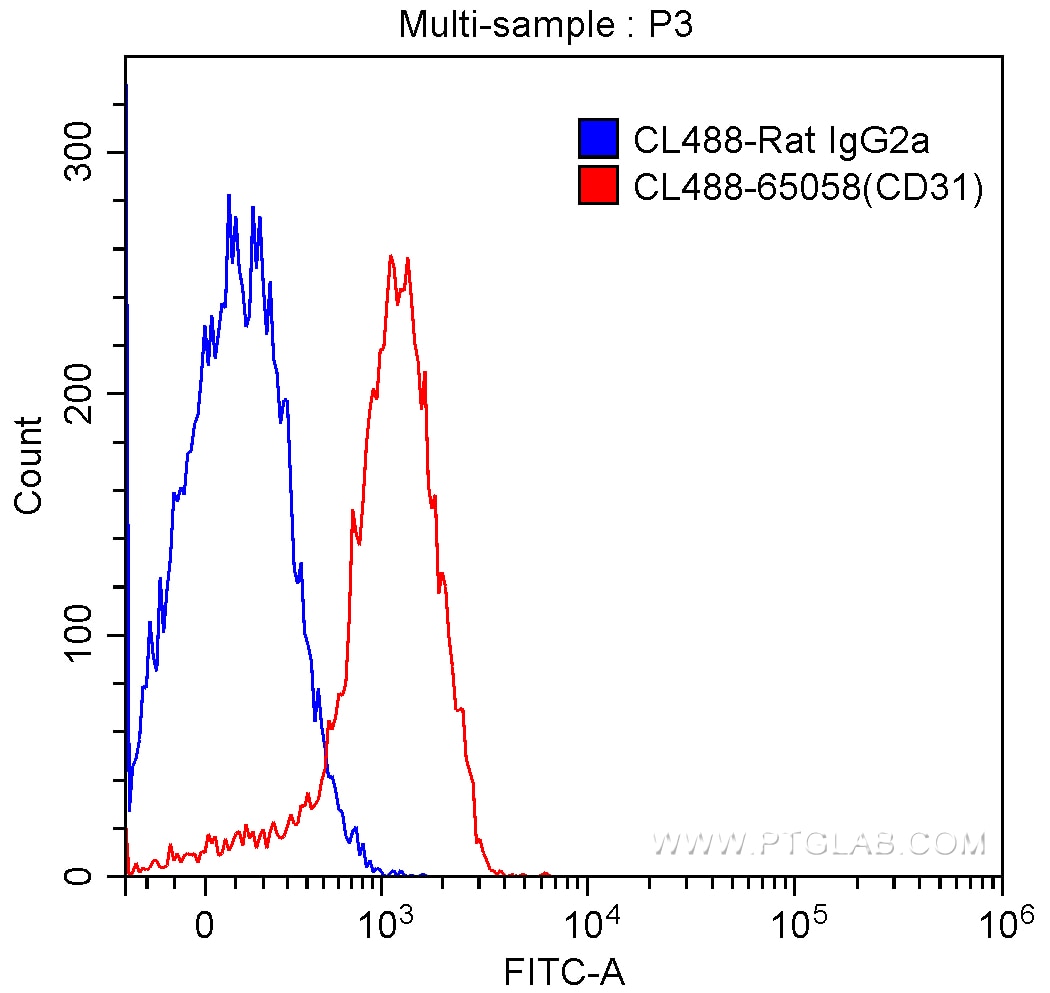 CoraLite®488 CD31 Rat Monoclonal antibody United Bio Research