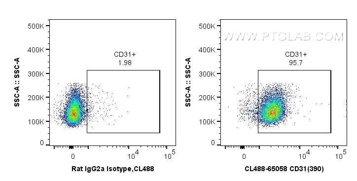 Flow cytometry (FC) experiment of BALB/C mouse splenocytes using CoraLite® Plus 488 Anti-Mouse CD31 (390) (CL488-65058)