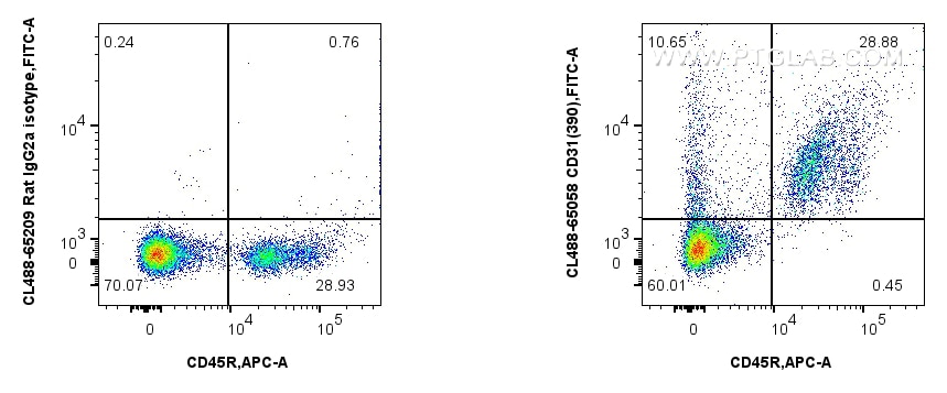 Flow cytometry (FC) experiment of mouse bone marrow cells using CoraLite® Plus 488 Anti-Mouse CD31 (390) (CL488-65058)