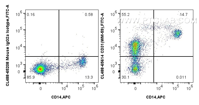 1x10^6 human PBMCs were surface stained with APC Anti-Human CD14, and 5 ul CoraLite® Plus 488 Anti-Human CD31 (WM-59) Mouse IgG2a RecAb (CL488-65614, Clone: WM-59) or CoraLite® Plus 488 Mouse IgG2a Isotype Control (C1.18.4) (CL488-65208, Clone: C1.18.4). Cells were incubated with FC Receptor Block prior to staining. Cells were not fixed. Flow cytometry (FC) experiment of human PBMCs using CoraLite® Plus 488 Anti-Human CD31 (WM-59) Mouse I (CL488-65614)