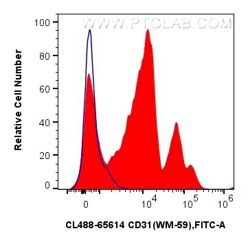 1x10^6 human PBMCs were surface stained with 5 ul CoraLite® Plus 488 Anti-Human CD31 (WM-59) Mouse IgG2a RecAb (CL488-65614, Clone: WM-59) (red) or CoraLite® Plus 488 Mouse IgG2a Isotype Control (C1.18.4) (CL488-65208, Clone: C1.18.4) (blue). Cells were incubated with FC Receptor Block prior to staining. Cells were not fixed. Flow cytometry (FC) experiment of human PBMCs using CoraLite® Plus 488 Anti-Human CD31 (WM-59) Mouse I (CL488-65614)