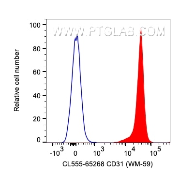 Flow cytometry (FC) experiment of human PBMCs using CoraLite® Plus 555 Anti-Human CD31 (WM-59) (CL555-65268)