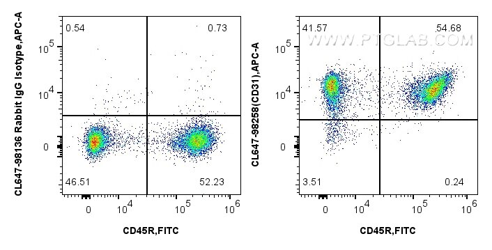 Flow cytometry (FC) experiment of mouse splenocytes using CoraLite® Plus 647 Anti-Mouse CD31 Rabbit Recombin (CL647-98258)