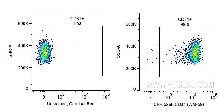 Flow cytometry (FC) experiment of human PBMCs using Cardinal Red™ Anti-Human CD31 (WM-59) (CR-65268)