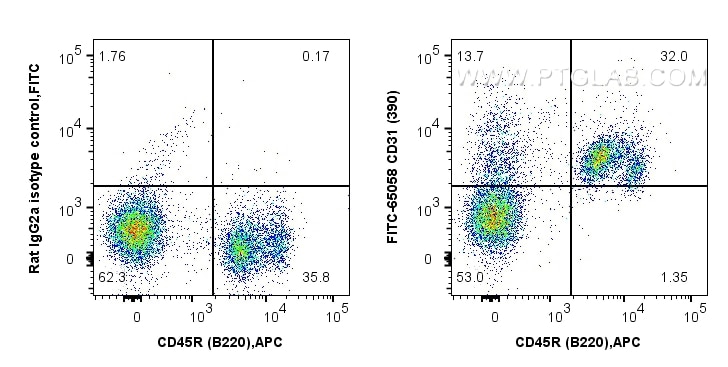 Flow cytometry (FC) experiment of C57BL/6 mouse bone marrow cells using FITC Plus Anti-Mouse CD31 (390) (FITC-65058)
