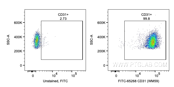 Flow cytometry (FC) experiment of human PBMCs using FITC Plus Anti-Human CD31 (WM-59) (FITC-65268)