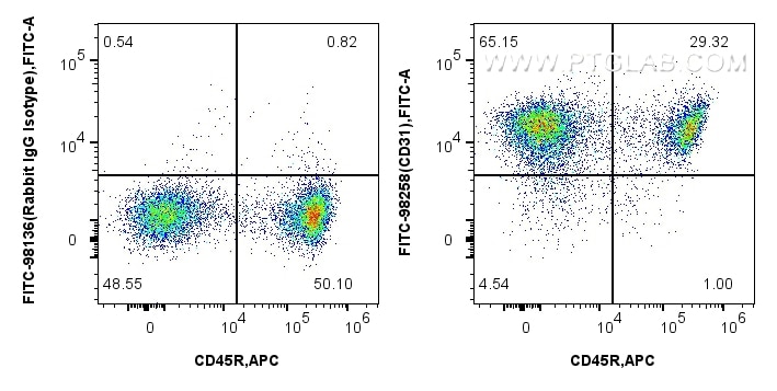 Flow cytometry (FC) experiment of mouse splenocytes using FITC Plus Anti-Mouse CD31 Rabbit Recombinant Antib (FITC-98258)