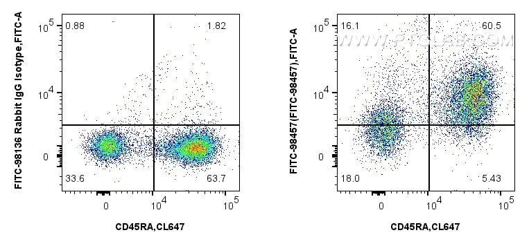 Flow cytometry (FC) experiment of rat splenocytes cells using FITC Plus Anti-Rat CD31 Rabbit Recombinant Antibod (FITC-98457)