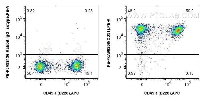 FC experiment of mouse splenocytes using PE-FcA98258 Flow cytometry (FC) experiment of mouse splenocytes using FcZero-rAb® PE Anti-Mouse CD31 Rabbit Recombinant (PE-FcA98258)