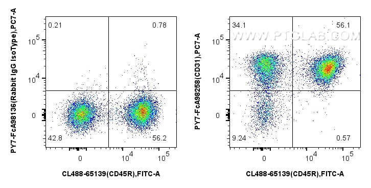 Flow cytometry (FC) experiment of mouse splenocytes using FcZero-rAb® PE-Cyanine7 Anti-Mouse CD31 Rabbit Rec (PY7-FcA98258)