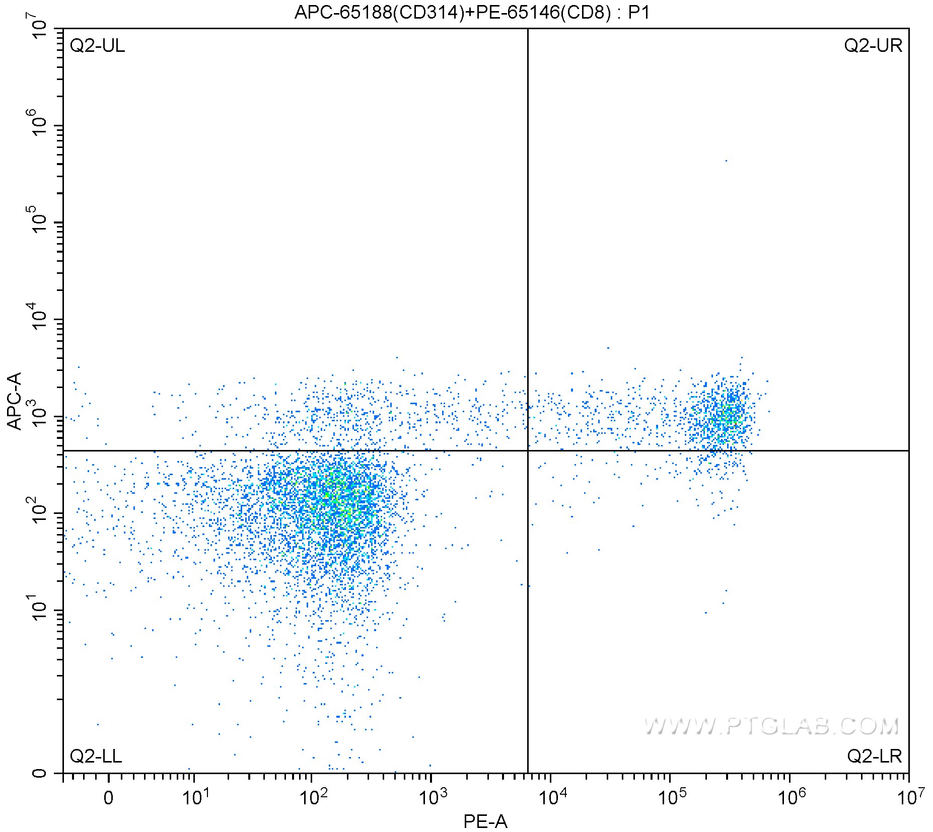 CD314/NKG2D