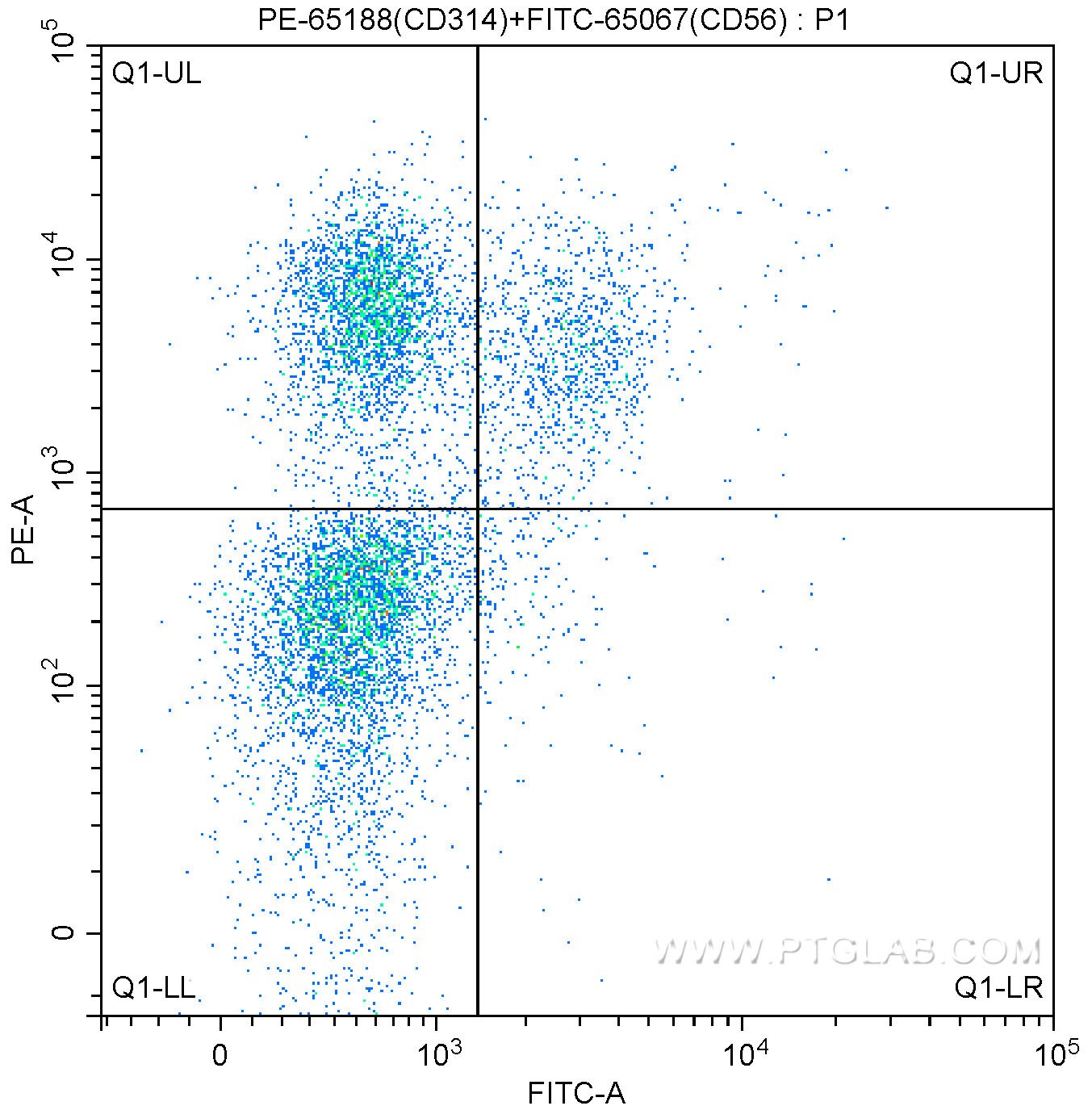 CD314/NKG2D