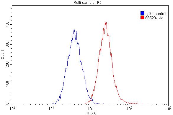 FCGR2A / CD32a