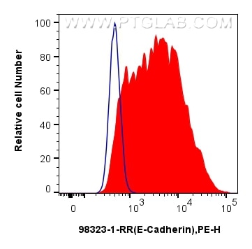 Flow cytometry (FC) experiment of PC-12 cells using Anti-Rat CD324 (E-cadherin) Rabbit Recombinant Ant (98323-1-RR)