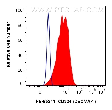 Flow cytometry (FC) experiment of MDCK cells using PE Anti-Mouse CD324 (E-cadherin) (DECMA-1) (PE-65241)