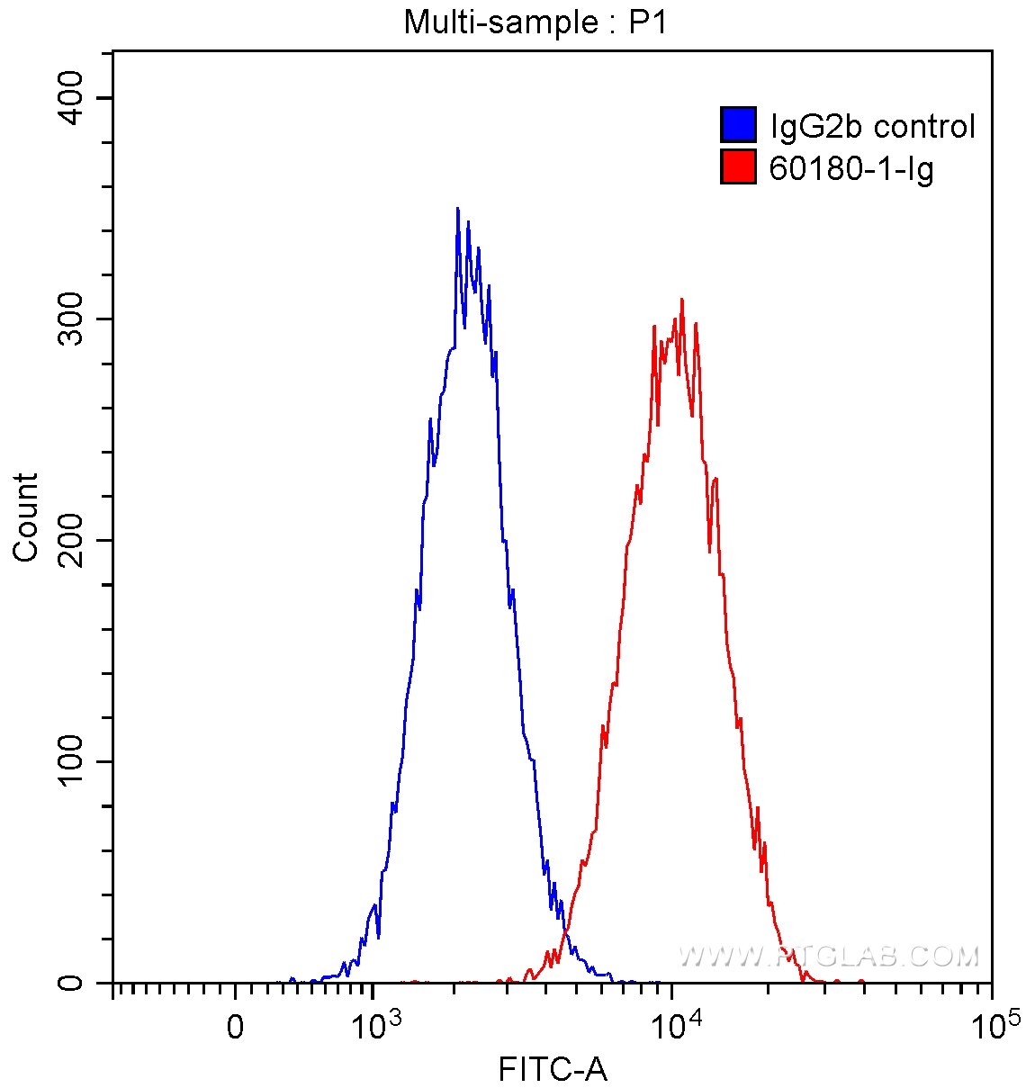 FC experiment of HUVEC using 60180-1-Ig