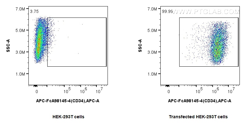 FC experiment of Transfected HEK-293T using APC-FcA98145-4 Flow cytometry (FC) experiment of Transfected HEK-293T cells using FcZero-rAb® APC Anti-Human CD34 Rabbit Recombinant (APC-FcA98145-4)