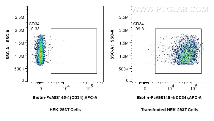FC experiment of Transfected HEK-293T using Biotin-FcA98145-4 Flow cytometry (FC) experiment of Transfected HEK-293T cells using FcZero-rAb® Biotin Anti-Human CD34 Rabbit Recombin (Biotin-FcA98145-4)
