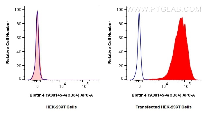 FC experiment of Transfected HEK-293T using Biotin-FcA98145-4 Flow cytometry (FC) experiment of Transfected HEK-293T cells using FcZero-rAb® Biotin Anti-Human CD34 Rabbit Recombin (Biotin-FcA98145-4)