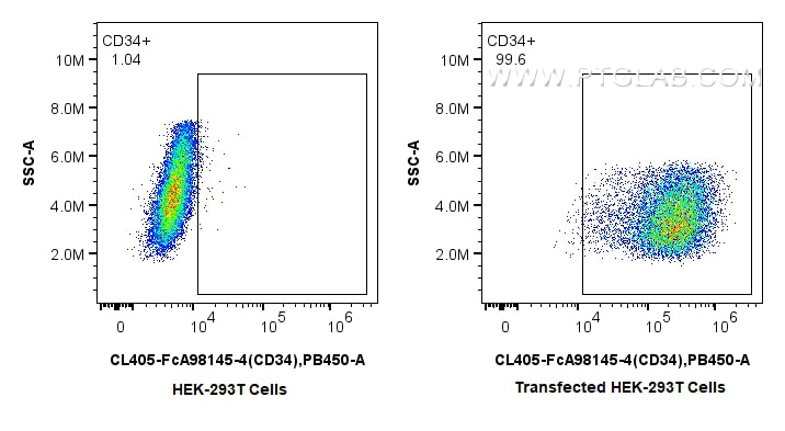 Flow cytometry (FC) experiment of Transfected HEK-293T cells using FcZero-rAb® CoraLite® Plus 405 Anti-Human CD34 Rab (CL405-FcA98145-4)