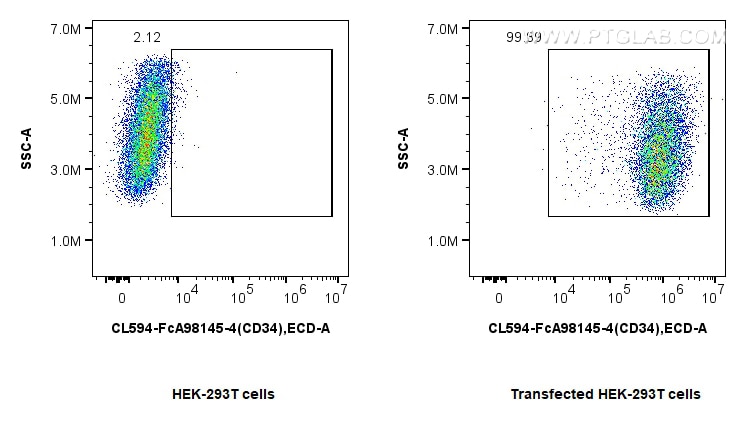 FC experiment of Transfected HEK-293T using CL594-FcA98145-4 Flow cytometry (FC) experiment of Transfected HEK-293T cells using FcZero-rAb® CoraLite® Plus 594 Anti-Human CD34 Rab (CL594-FcA98145-4)