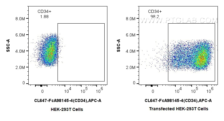 Flow cytometry (FC) experiment of Transfected HEK-293T cells using FcZero-rAb® CoraLite® Plus 647 Anti-Human CD34 Rab (CL647-FcA98145-4)