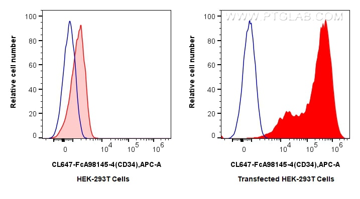 Flow cytometry (FC) experiment of Transfected HEK-293T cells using FcZero-rAb® CoraLite® Plus 647 Anti-Human CD34 Rab (CL647-FcA98145-4)