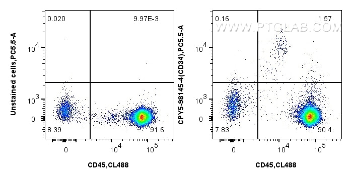 Flow cytometry (FC) experiment of human PBMCs using PerCP-Cyanine5.5 Anti-Human CD34 Rabbit Recombinan (CPY5-98145-4)