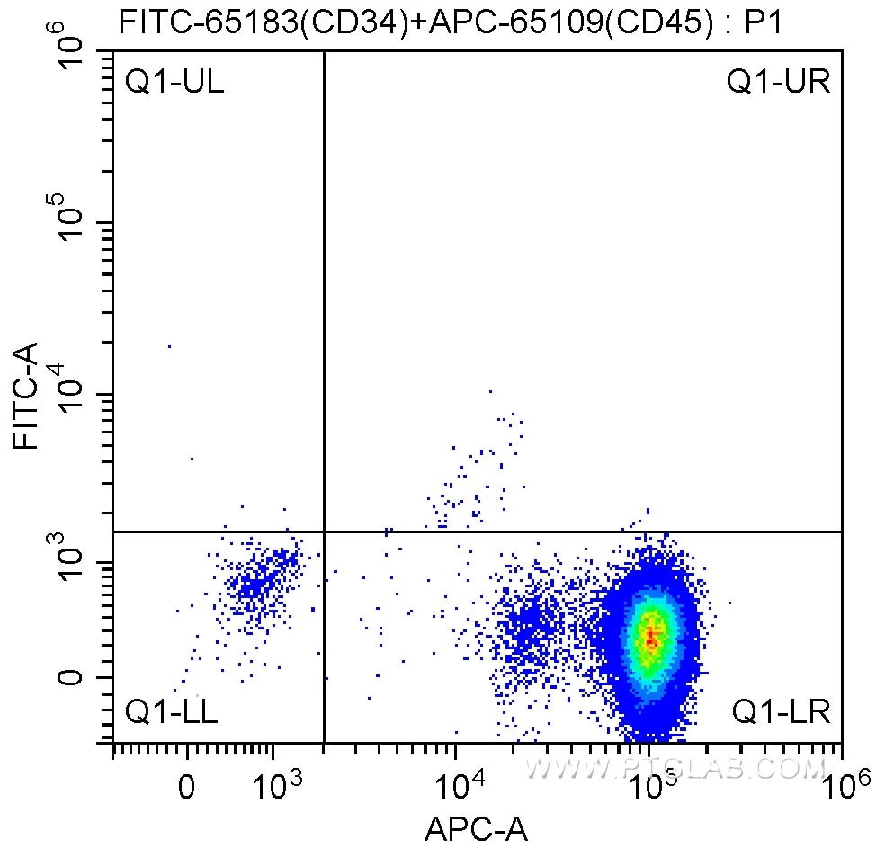 Flow cytometry (FC) experiment of human peripheral blood leukocyte using FITC Anti-Human CD34 (QBEnd-10) (FITC-65183)