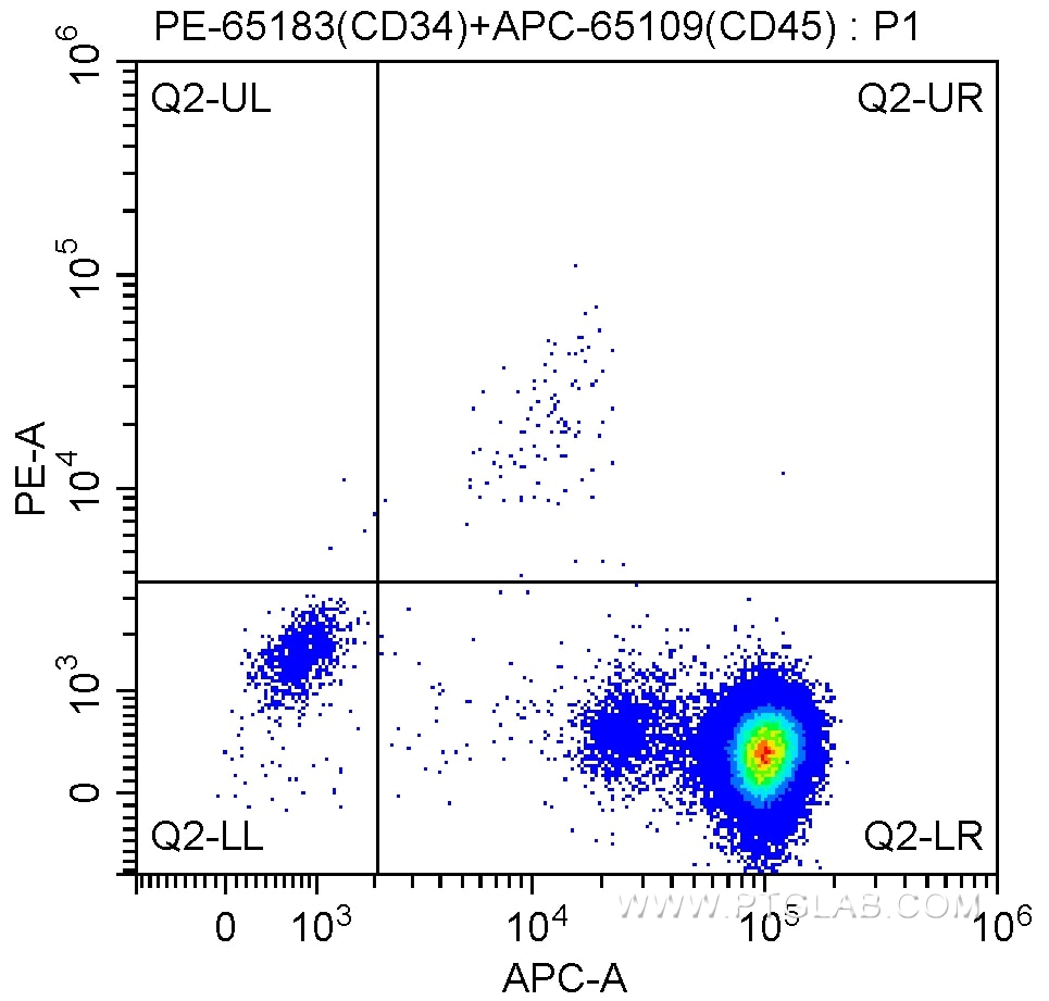 Flow cytometry (FC) experiment of human peripheral blood leukocyte using PE Anti-Human CD34 (QBEnd-10) (PE-65183)