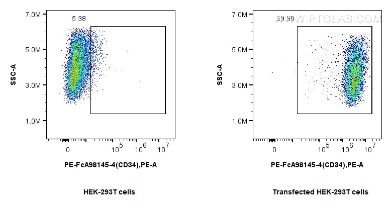 FC experiment of Transfected HEK-293T using PE-FcA98145-4 Flow cytometry (FC) experiment of Transfected HEK-293T cells using FcZero-rAb® PE Anti-Human CD34 Rabbit Recombinant (PE-FcA98145-4)