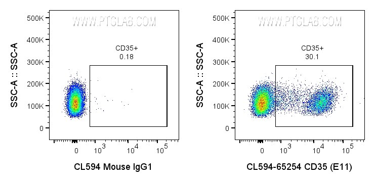 CD35