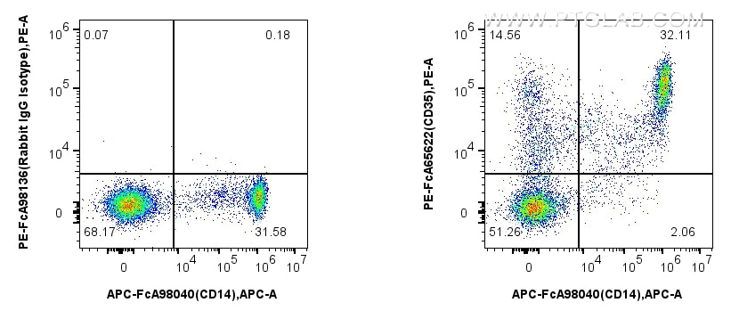 CD35
