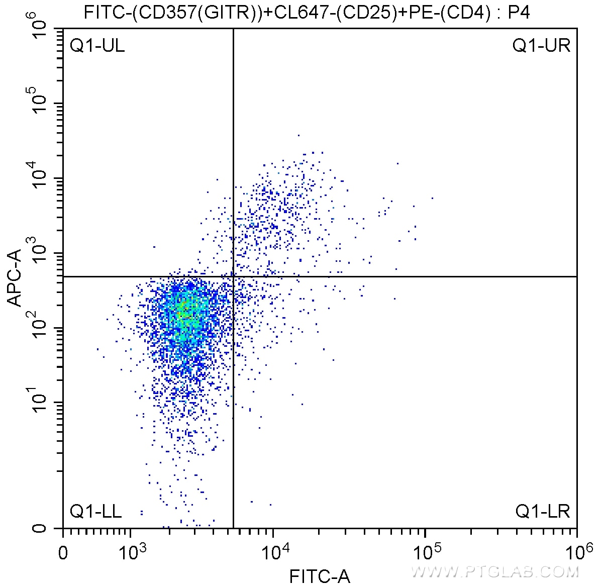 Flow cytometry (FC) experiment of mouse splenocytes using FITC Anti-Mouse CD357 (GITR) (DTA-1) (FITC-65102)