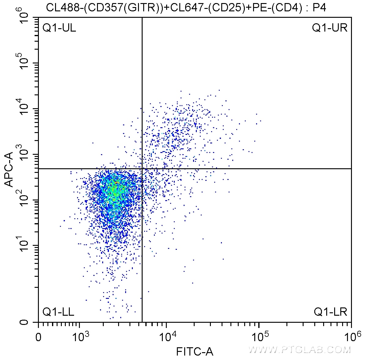 Flow cytometry (FC) experiment of mouse splenocytes using CoraLite® Plus 488 Anti-Mouse CD357 (GITR) (DTA-1) (CL488-65102)