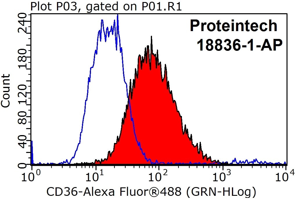 CD36