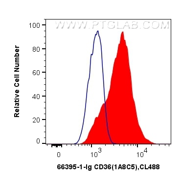 Flow cytometry (FC) experiment of THP-1 cells using CD36 Monoclonal antibody (66395-1-Ig)