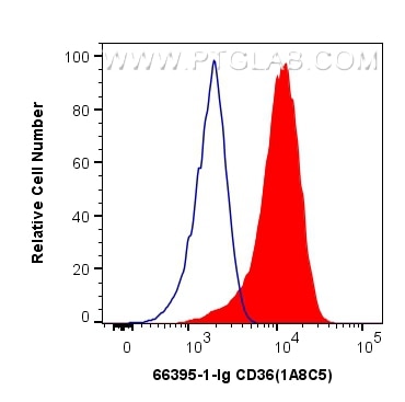Flow cytometry (FC) experiment of THP-1 cells using CD36 Monoclonal antibody (66395-1-Ig)