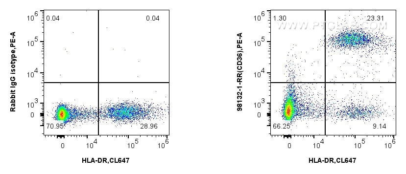 1x10^6 human PBMCs were surface stained with 0.25 ug Anti-Human CD36 Rabbit RecAb (98132-1-RR, Clone: 241262D5) or Rabbit IgG Isotype Control RecAb (98136-1-RR, Clone: 240953C9), and PE-Conjugated Goat Anti-Rabbit IgG(H+L). Cells were then stained with CoraLite® Plus 647 Anti-Human HLA-DR. Cells were incubated with FC Receptor Block prior to staining. Cells were not fixed. Flow cytometry (FC) experiment of human PBMCs using Anti-Human CD36 Rabbit Recombinant Antibody (98132-1-RR)